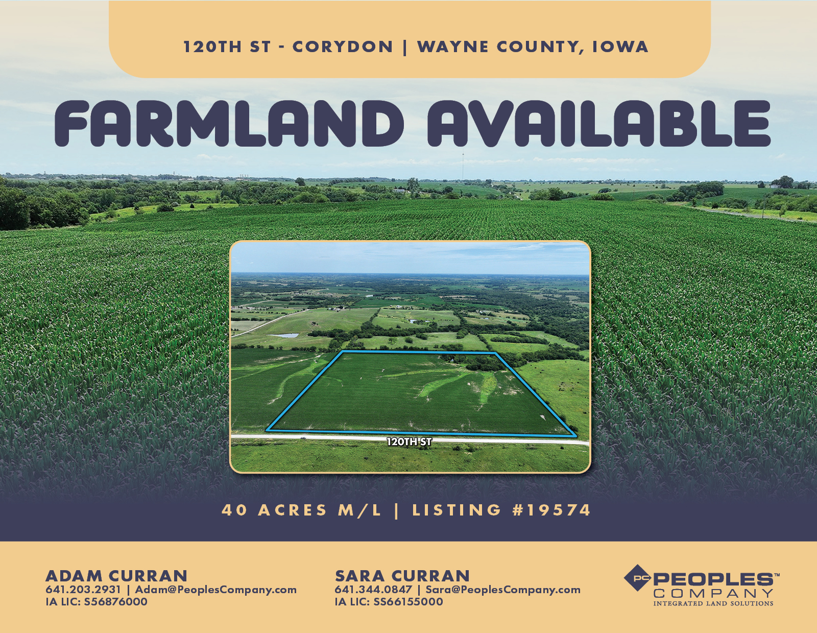 Listing #19574